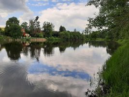 401 224 Sychrovský rybník - kontrola 10.6.22 (4).jpg